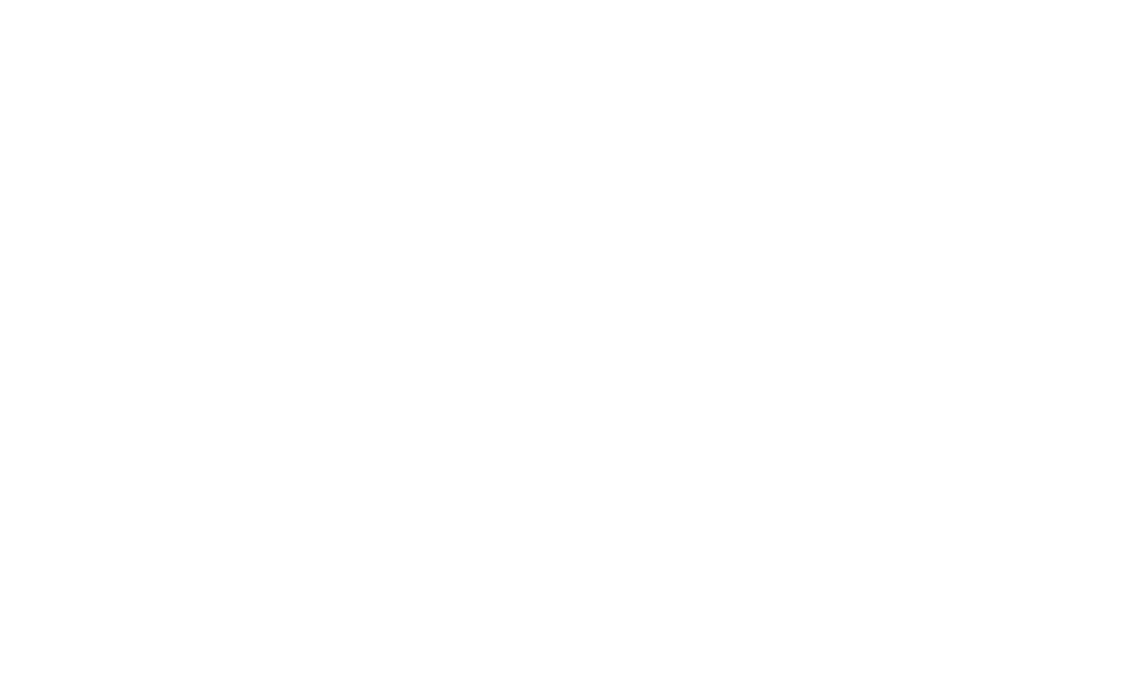 B&D Biler logo salg leasing import
