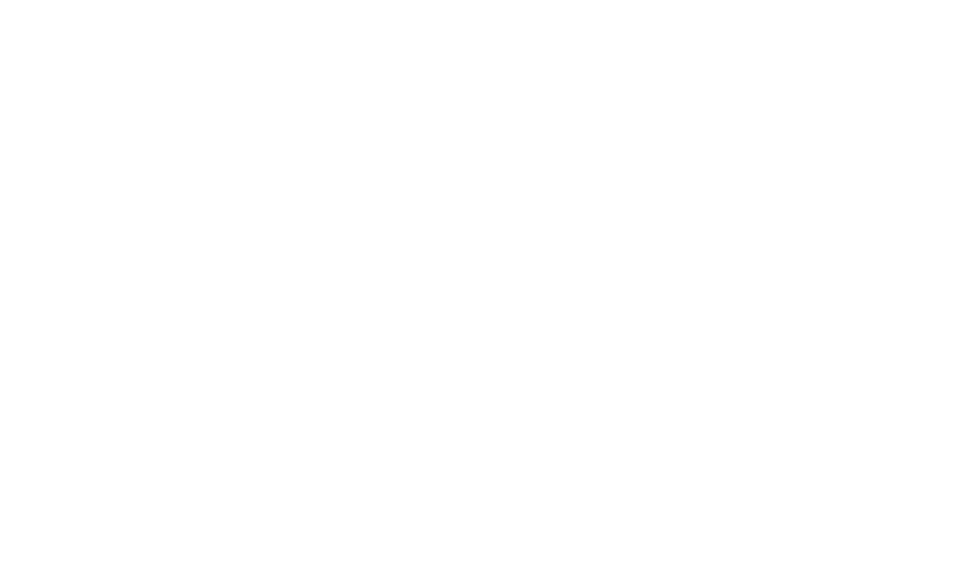 B&D Biler logo salg leasing import
